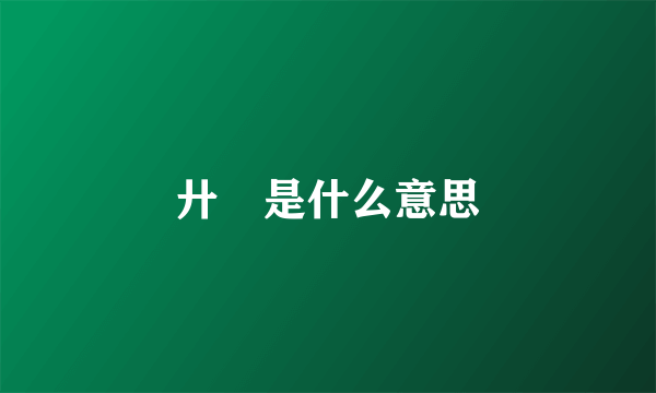 廾匸是什么意思