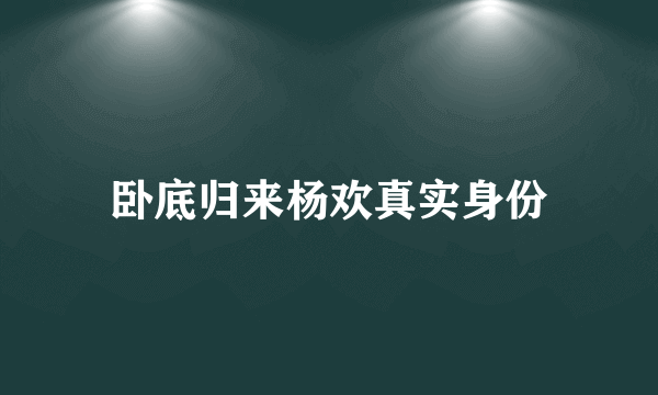 卧底归来杨欢真实身份