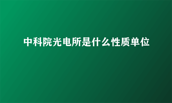 中科院光电所是什么性质单位