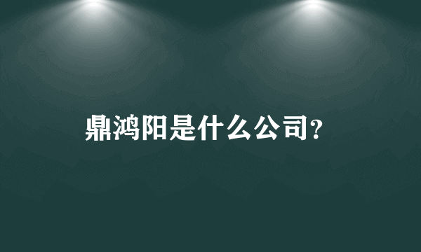 鼎鸿阳是什么公司？