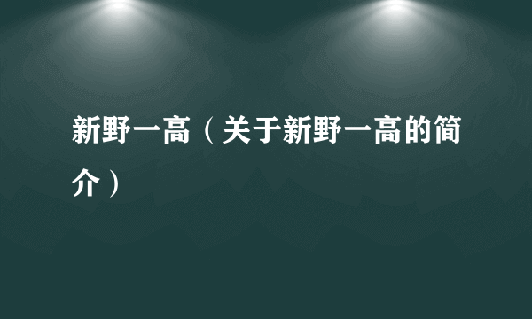 新野一高（关于新野一高的简介）