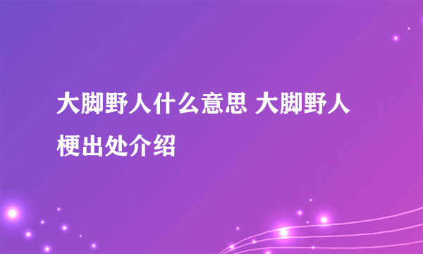 大脚野人什么意思 大脚野人梗出处介绍