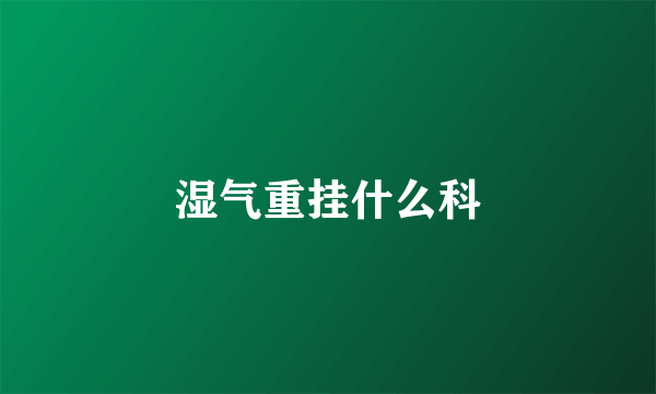 湿气重挂什么科