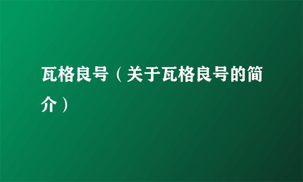 瓦格良号（关于瓦格良号的简介）