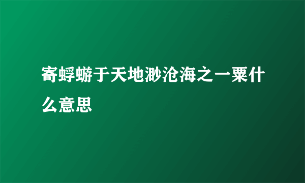 寄蜉蝣于天地渺沧海之一粟什么意思