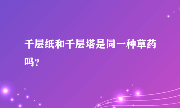 千层纸和千层塔是同一种草药吗？