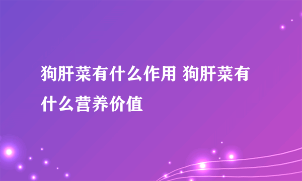 狗肝菜有什么作用 狗肝菜有什么营养价值