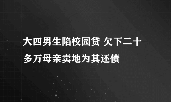 大四男生陷校园贷 欠下二十多万母亲卖地为其还债