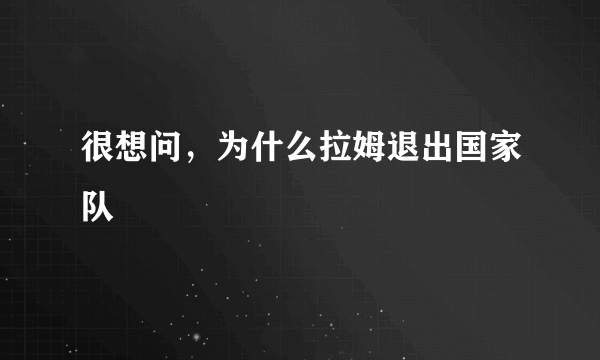 很想问，为什么拉姆退出国家队