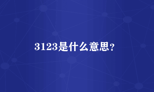 3123是什么意思？