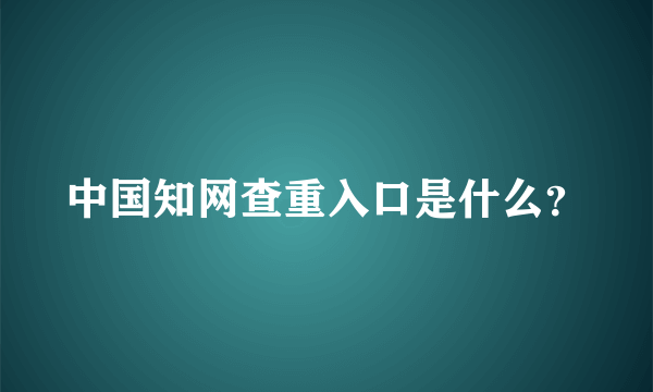 中国知网查重入口是什么？