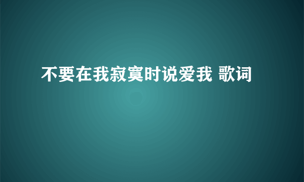 不要在我寂寞时说爱我 歌词