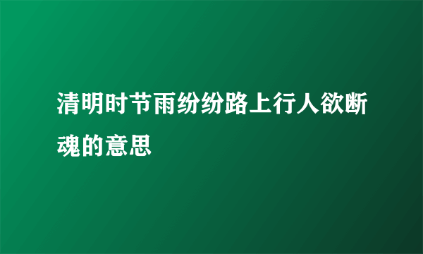 清明时节雨纷纷路上行人欲断魂的意思