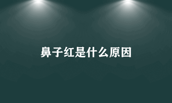 鼻子红是什么原因