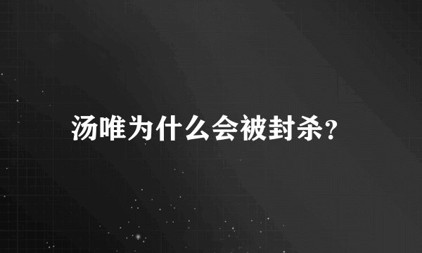 汤唯为什么会被封杀？