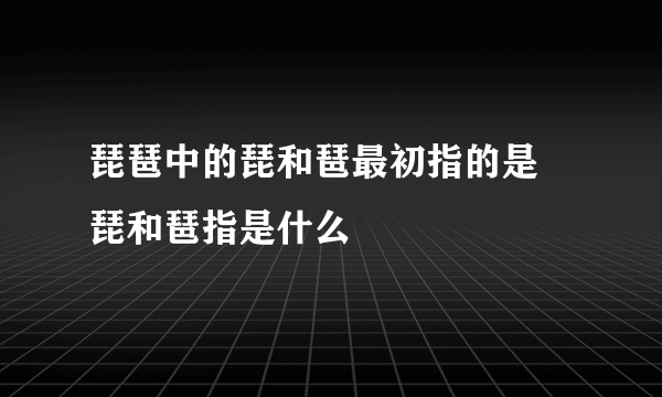 琵琶中的琵和琶最初指的是 琵和琶指是什么