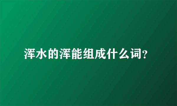 浑水的浑能组成什么词？