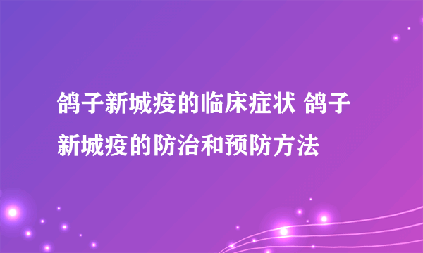 鸽子新城疫的临床症状 鸽子新城疫的防治和预防方法