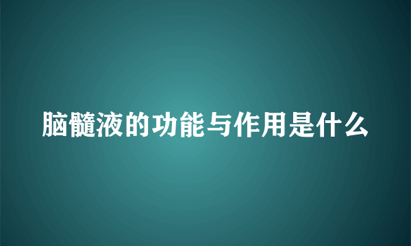 脑髓液的功能与作用是什么