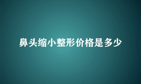 鼻头缩小整形价格是多少