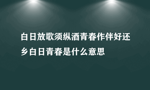 白日放歌须纵酒青春作伴好还乡白日青春是什么意思