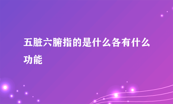 五脏六腑指的是什么各有什么功能