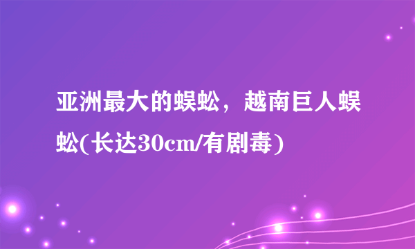 亚洲最大的蜈蚣，越南巨人蜈蚣(长达30cm/有剧毒)