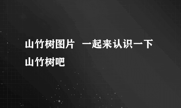 山竹树图片  一起来认识一下山竹树吧