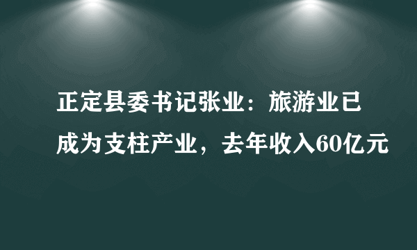 正定县委书记张业：旅游业已成为支柱产业，去年收入60亿元