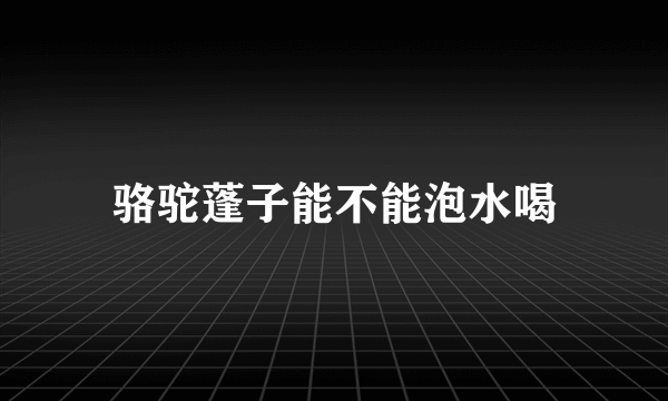 骆驼蓬子能不能泡水喝