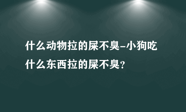 什么动物拉的屎不臭-小狗吃什么东西拉的屎不臭？