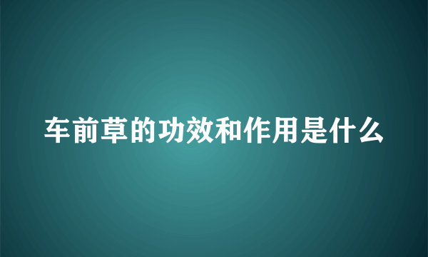 车前草的功效和作用是什么