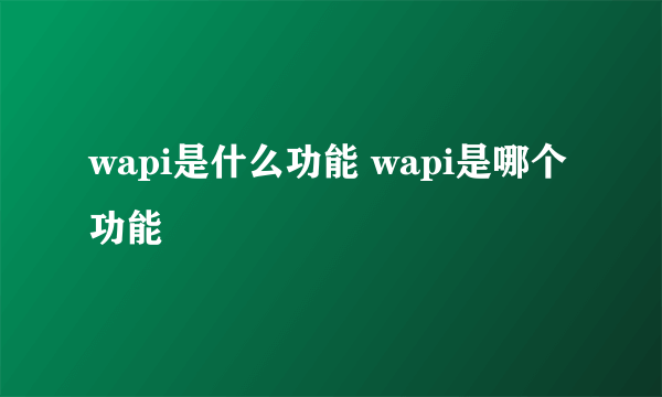 wapi是什么功能 wapi是哪个功能