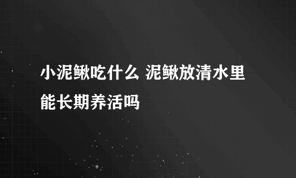 小泥鳅吃什么 泥鳅放清水里能长期养活吗