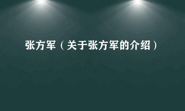 张方军（关于张方军的介绍）