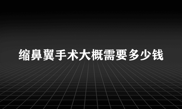 缩鼻翼手术大概需要多少钱