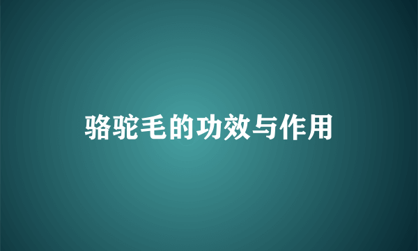 骆驼毛的功效与作用