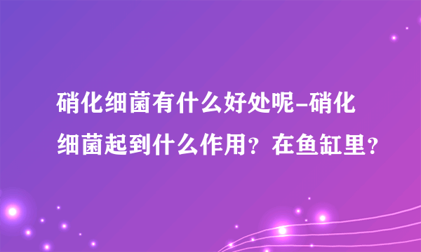 硝化细菌有什么好处呢-硝化细菌起到什么作用？在鱼缸里？