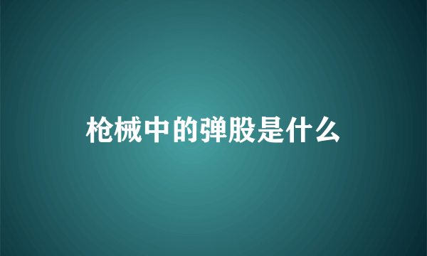 枪械中的弹股是什么