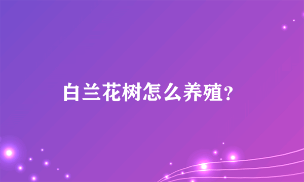 白兰花树怎么养殖？