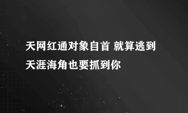 天网红通对象自首 就算逃到天涯海角也要抓到你