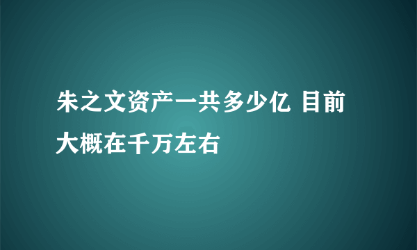 朱之文资产一共多少亿 目前大概在千万左右