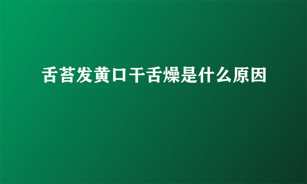 舌苔发黄口干舌燥是什么原因