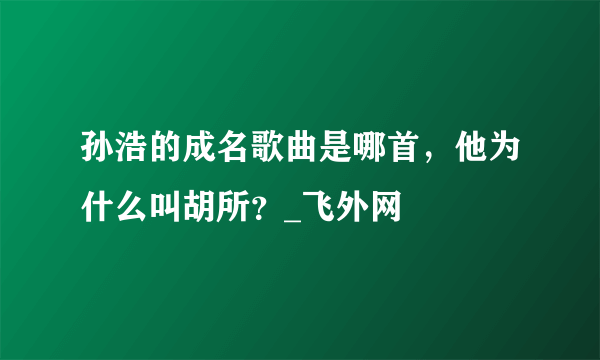 孙浩的成名歌曲是哪首，他为什么叫胡所？_飞外网