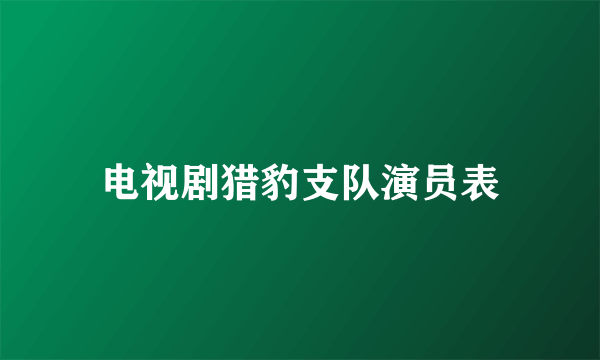 电视剧猎豹支队演员表