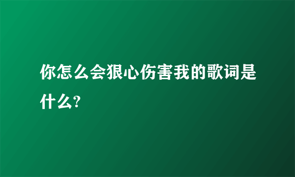 你怎么会狠心伤害我的歌词是什么?