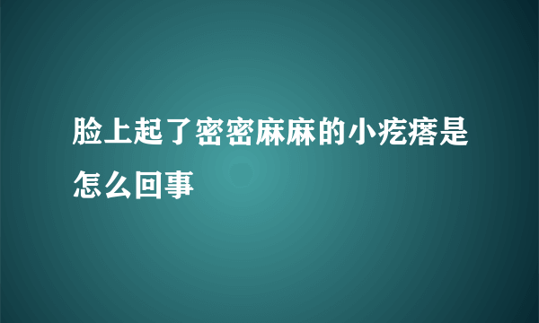 脸上起了密密麻麻的小疙瘩是怎么回事