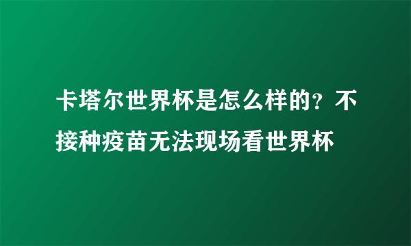 卡塔尔世界杯是怎么样的？不接种疫苗无法现场看世界杯