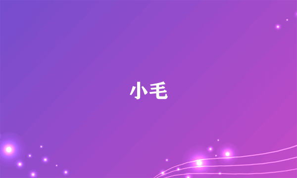 小毛