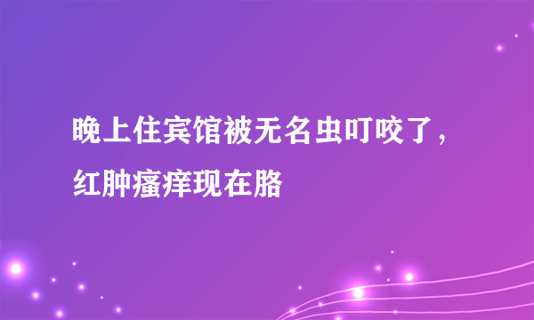 晚上住宾馆被无名虫叮咬了，红肿瘙痒现在胳